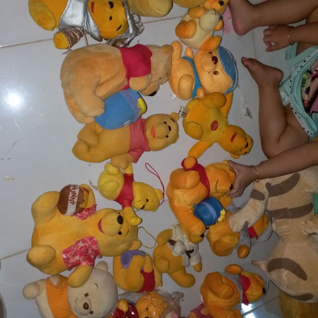 gấu vàng yên huỳnh 200