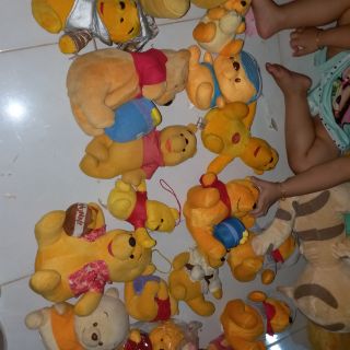 Gấu vàng yên huỳnh 200