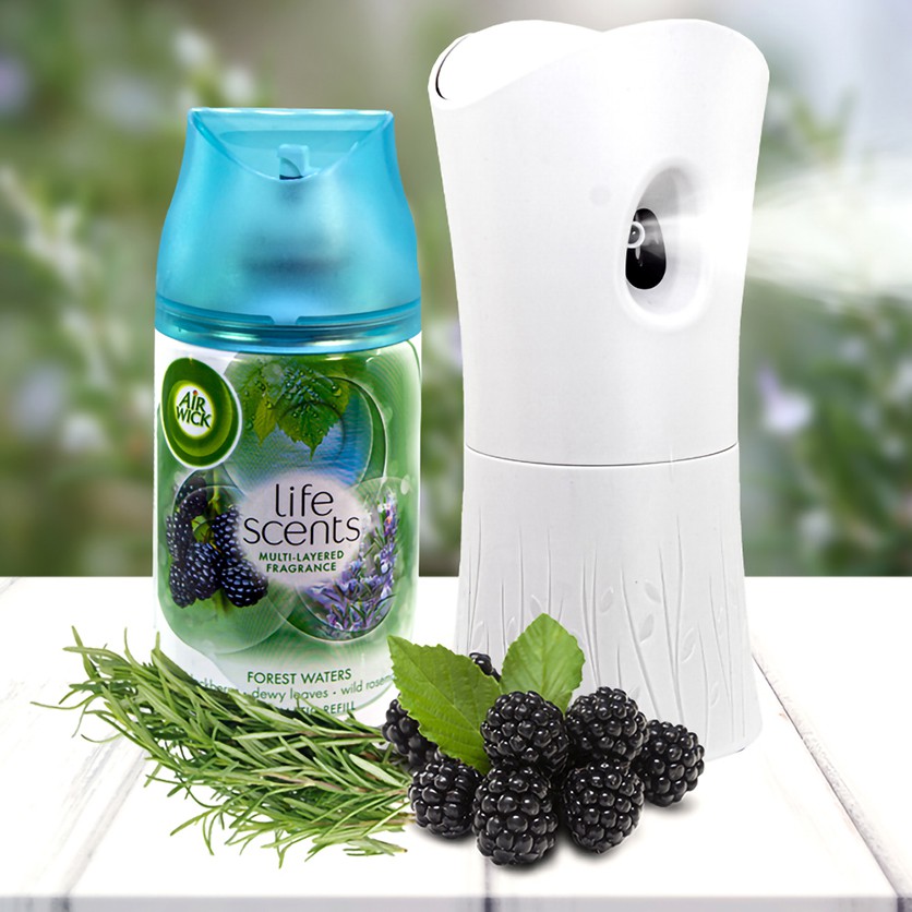 Bộ phun tinh dầu tự động Air Wick Forest Water 250ml HOA HƯƠNG THẢO
