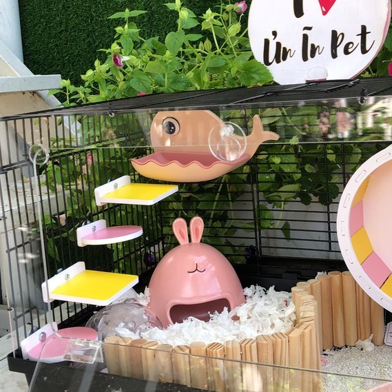 Trang trí chuồng hamster, 1 bậc thang gỗ màu đa dạng nâng cấp lồng hamster