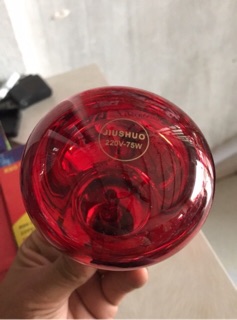 Bóng sưởi hồng ngoại