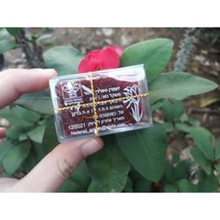 Saffron ( nhụy hoa nghệ tây nhập khẩu tây ban nha)