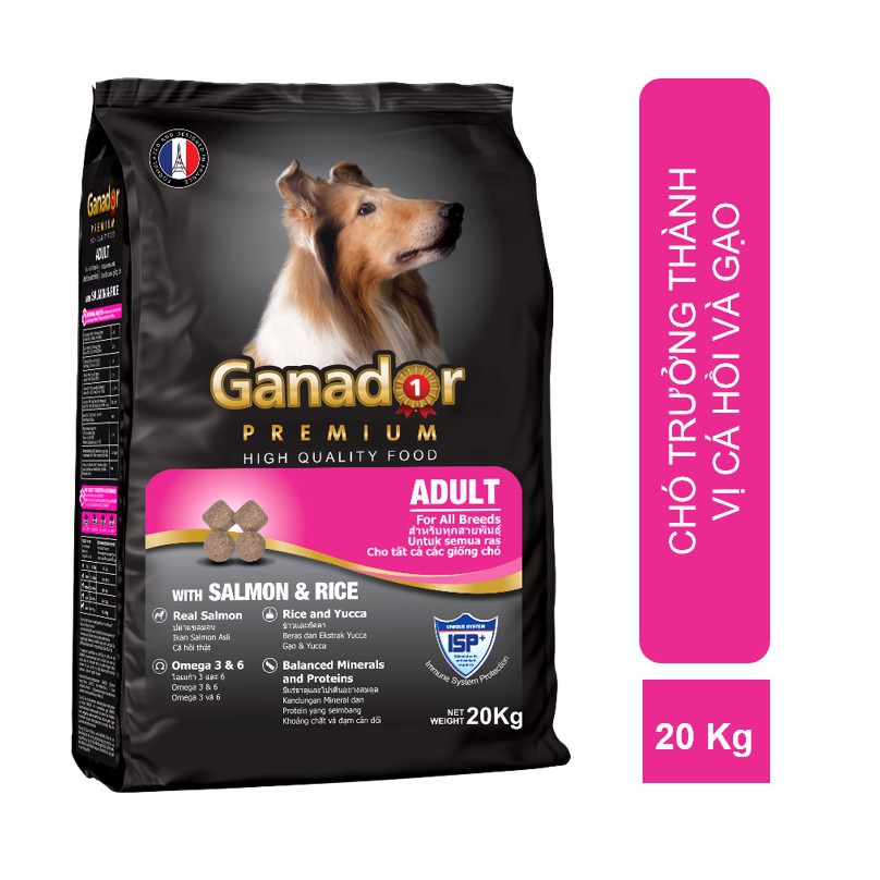 20kg (50 gói 400g) - Ganador Adult salmon vị cá hồi - Thức ăn chó trưởng thành
