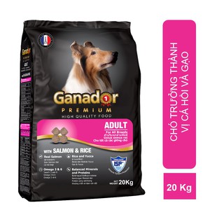 20kg (50 gói 400g) - Ganador Adult salmon vị cá hồi - Thức ăn chó trưởng thành
