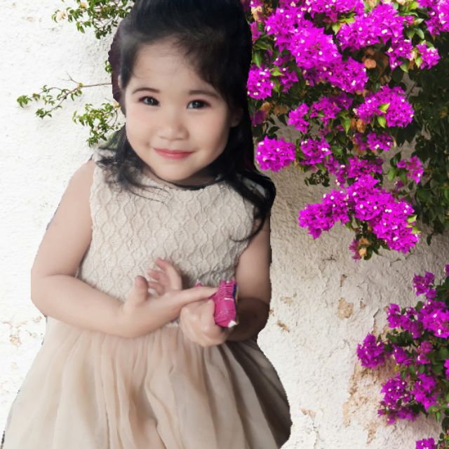 hohaanh.