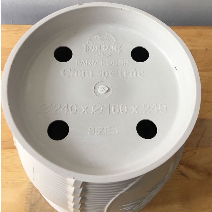 Chậu Hoa Trúc Dáng Cao Chưng Hoa Tết - Mẫu Mới Siêu Đẹp (có 2 size)