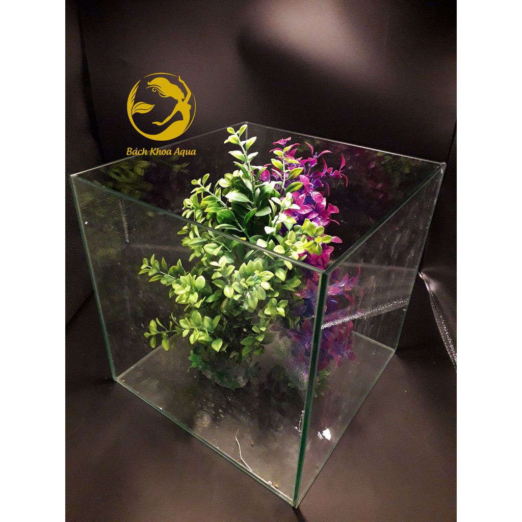 Bể Cubic 50 thường