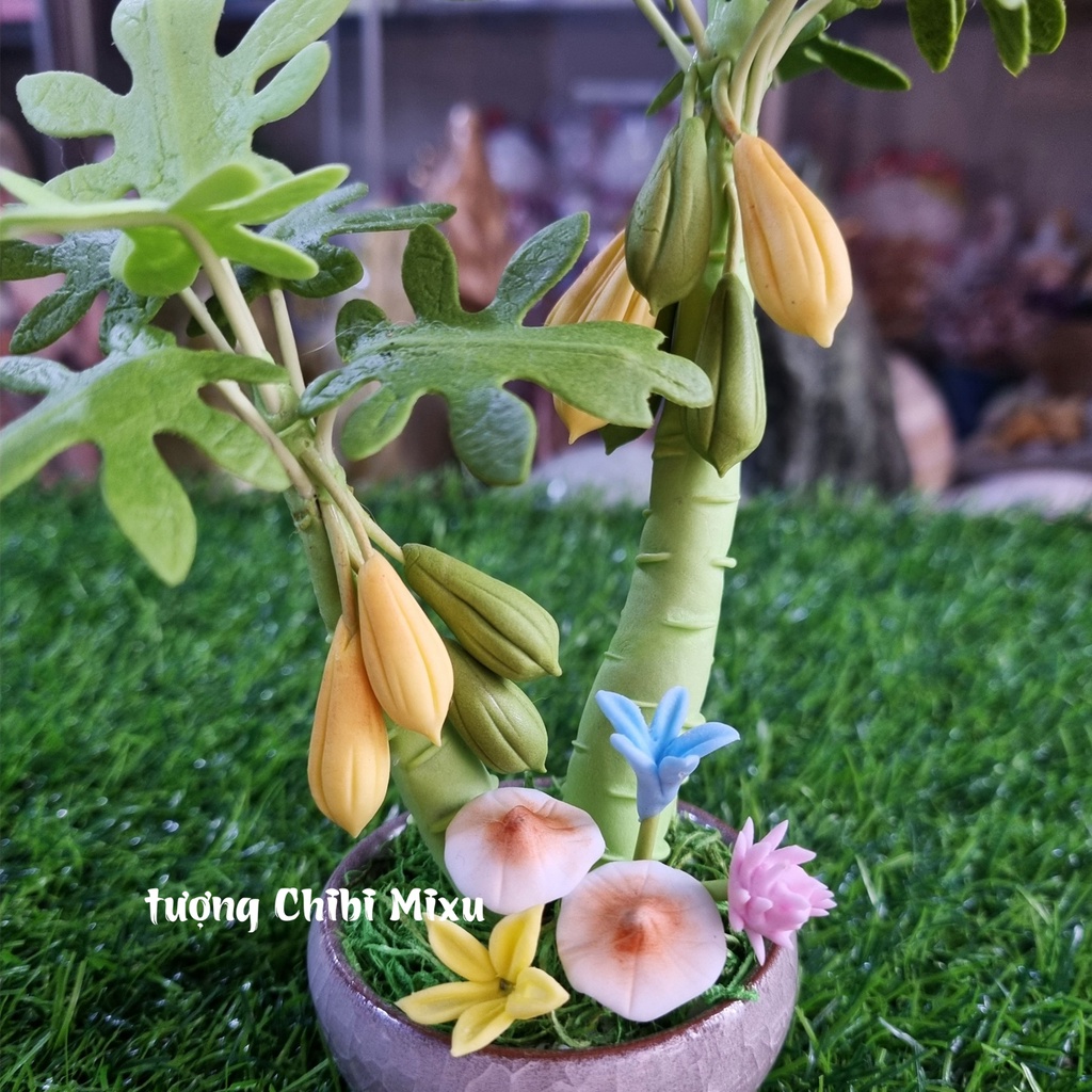 Chậu cây đu đủ 16cm bằng đất sét Nhật - tác dụng chiêu tài