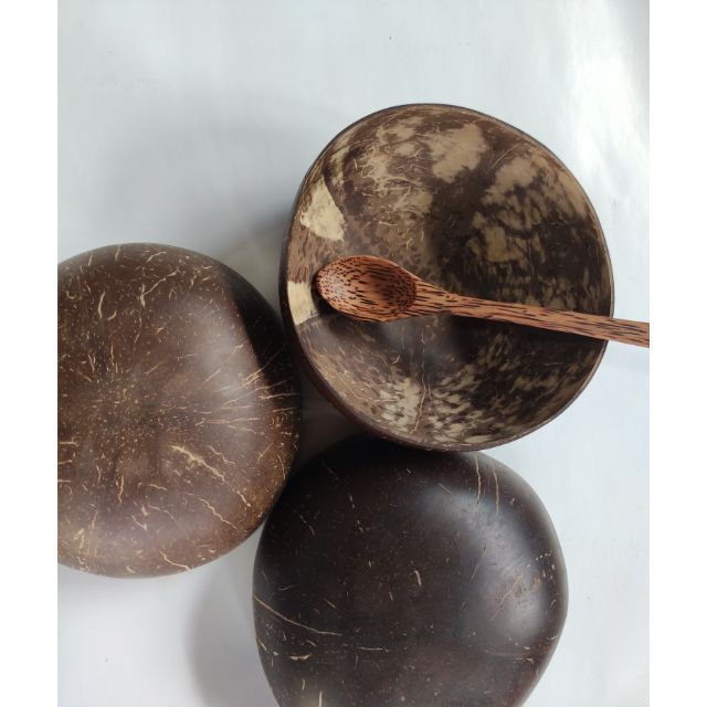 Combo 15 bộ Chén gáo dừa kèm muỗng gỗ dừa