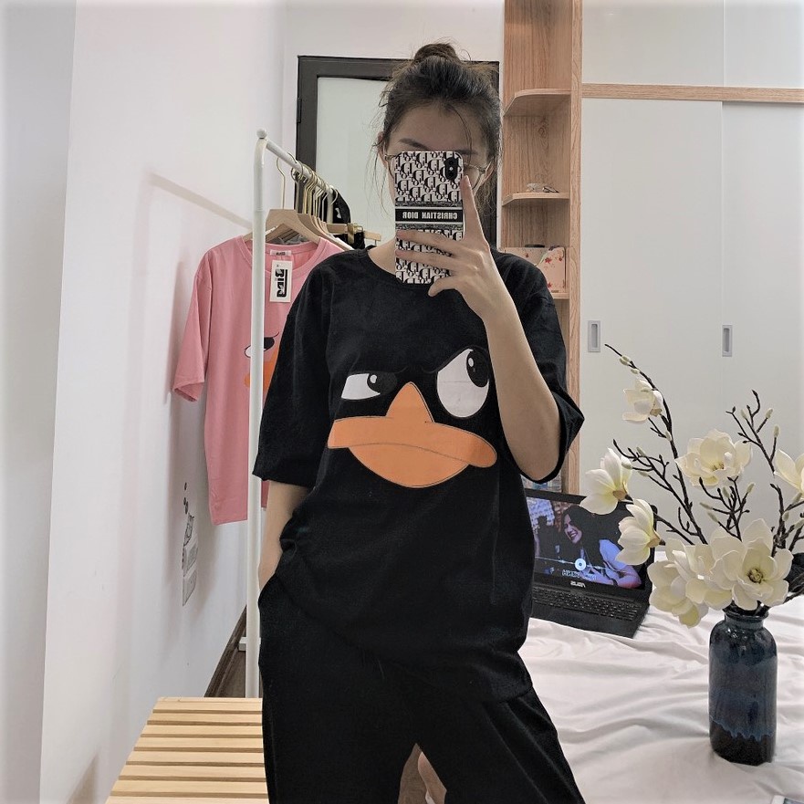 Áo thun nam nữ Unisex form rộng Bingshop