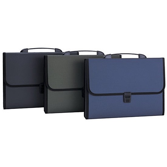 Cặp Tài Liệu 12 Ngăn Deli 5556 Quai Xách - Tặng kèm túi clearbag hoặc bút gel