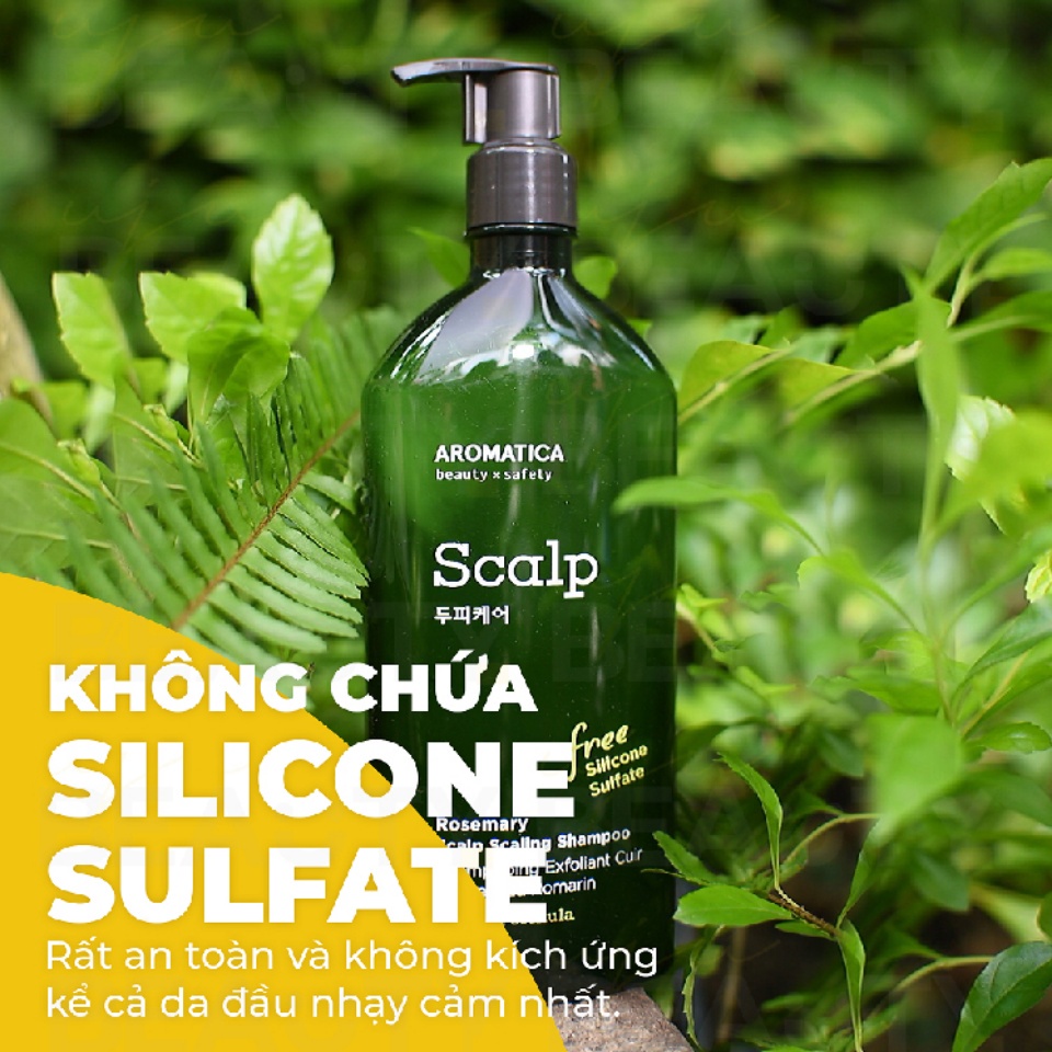 Dầu gội thảo dược thuần chay Rosemary Scalp Scaling Aromatica 400ml - Korean Vegan Shampoo - Hàng chính hãng