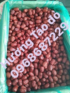 Táo đỏ Tân Cương