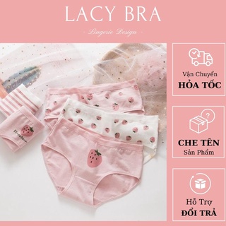 Set 4 Quần Lót Dâu Tây Hồng Chất Cotton Mềm Siêu Xinh - QL15