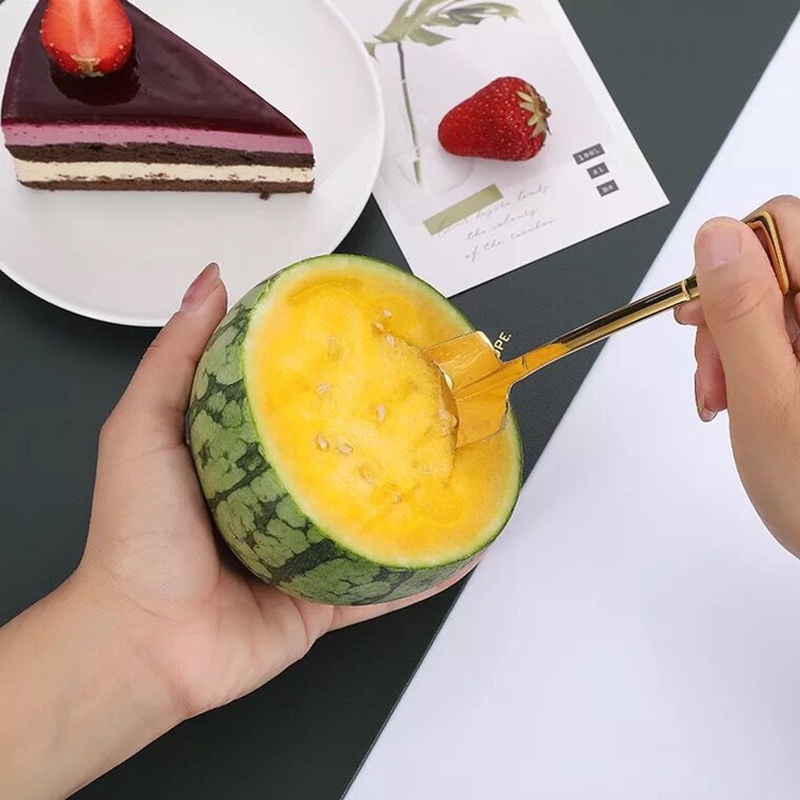 Muỗng múc kem ossayi bằng thép không gỉ tiện dụng