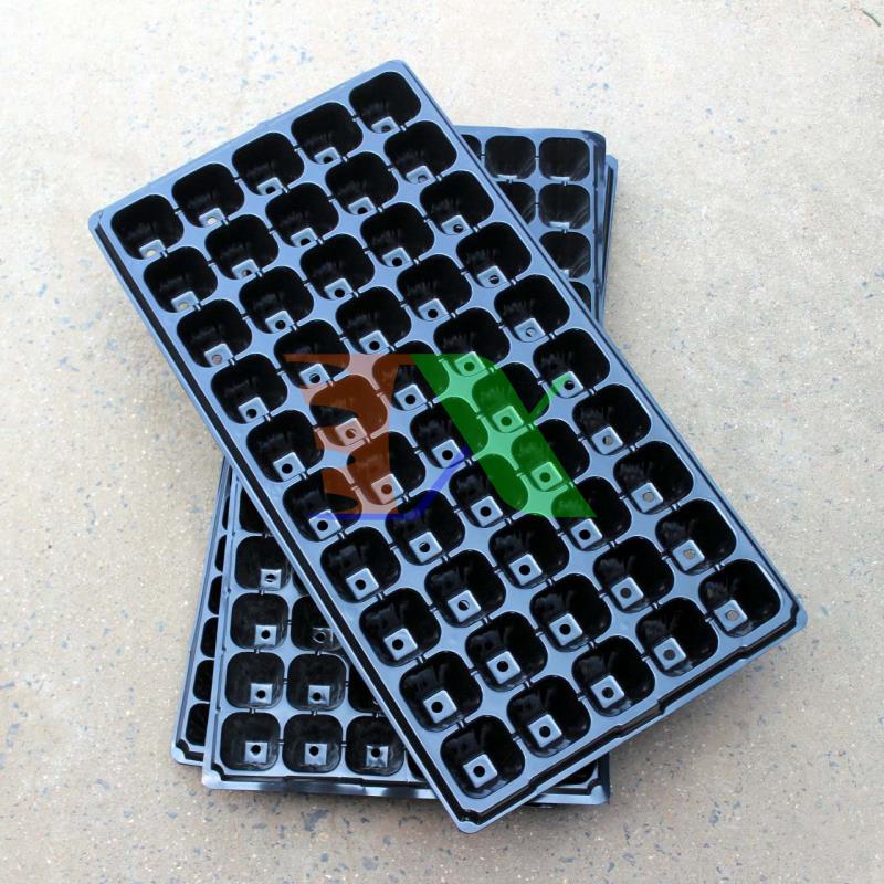 Hộp 150 khay ươm cây (Dày 1mm, nặng 120g), khay ươm hạt, vỉ ươm rau (50 lỗ)