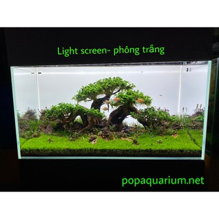 Phông nền Led light SAM Screen  dành cho bể cá cảnh