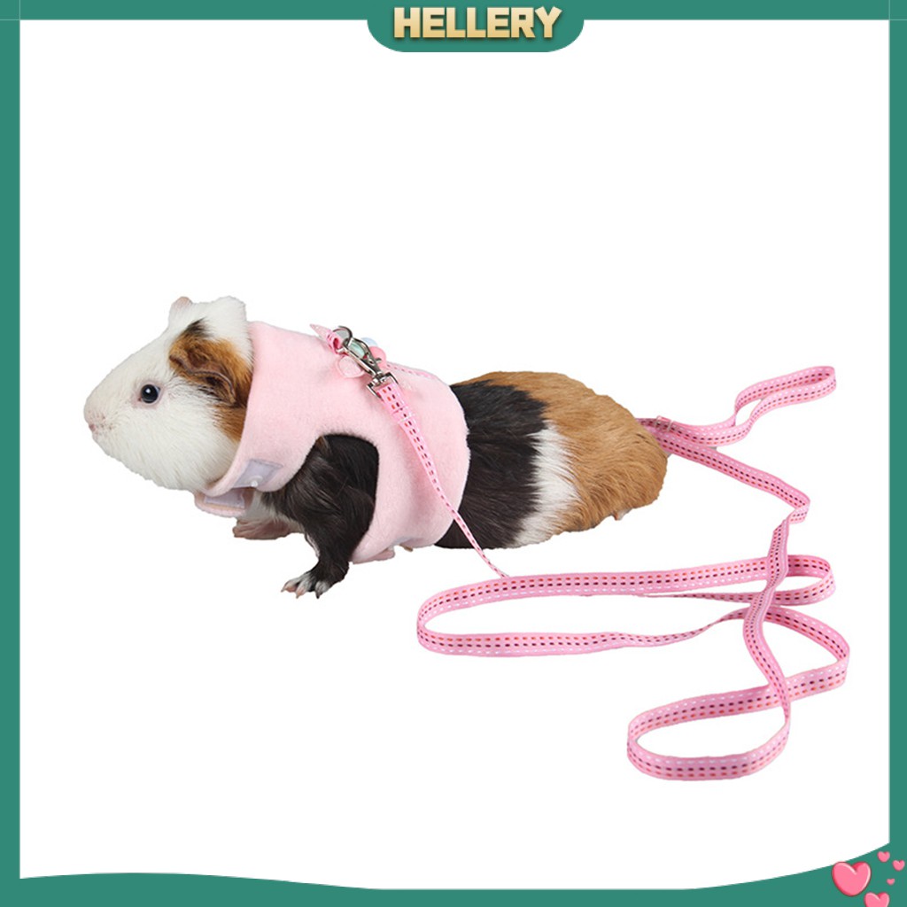 Bộ Dây Đai Và Dây Dắt Bằng Vải Cotton Cho Chuột Hamster / Heo Guinea