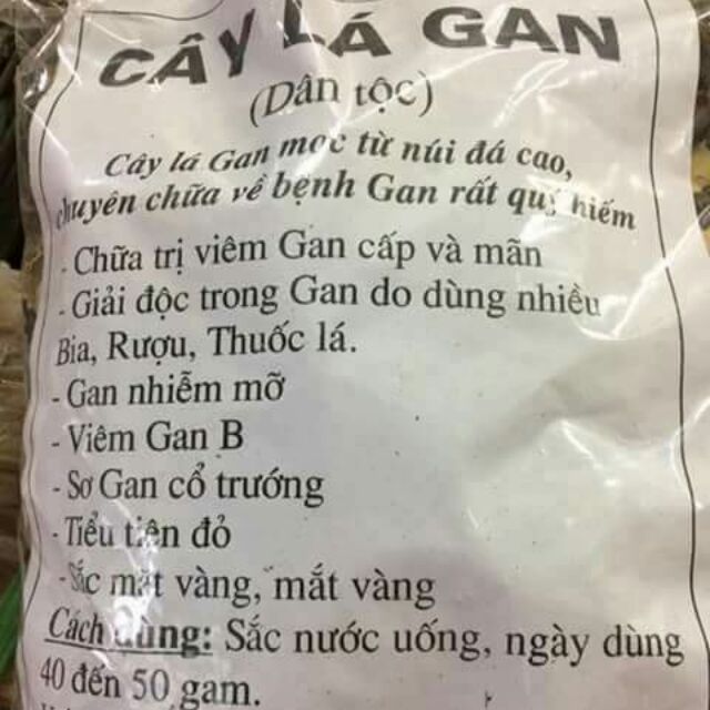 [FREESHIP 99K TOÀN QUỐC] Cây lá gan