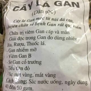 [FREESHIP 99K TOÀN QUỐC] Cây lá gan