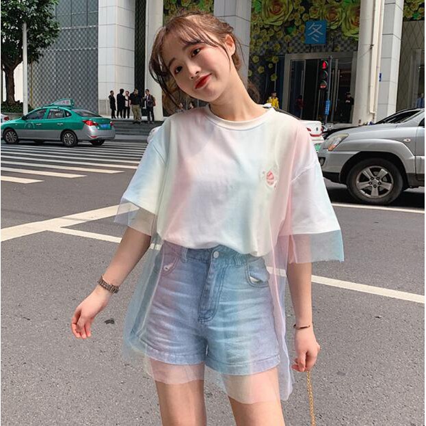 Áo thun tay ngắn phối lưới họa tiết thêu thời trang cho nữ Hàn Quốc
