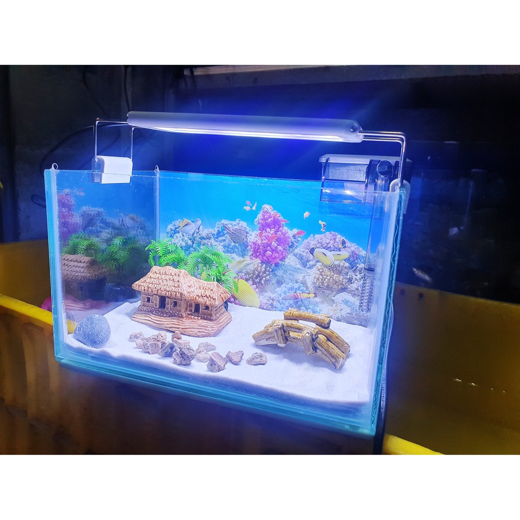 COMBO HỒ CÁ TRANG TRÍ SẴN 24X15X15CM 390KClick để phóng to  Bonsai Cá cảnh Nhật ToànChăm sóc thú cưngChăm sóc cá &amp; bể th