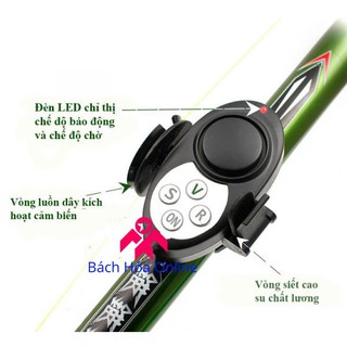 Báo động cá cắn câu