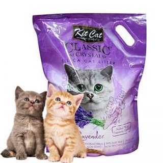 Cát Thủy Tinh KitCat 5L