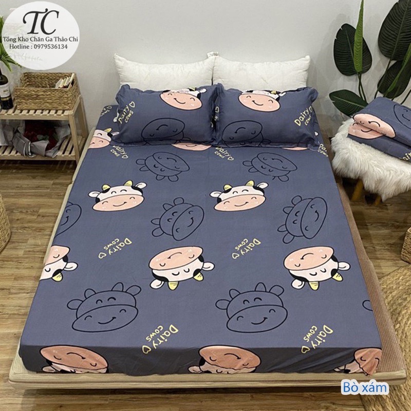 Bộ Ga Gối Coton Poly -  Bộ 3 Món (1 Ga+ 2 Vỏ Gối ) Đủ Size- Được Chọn Mẫu | BigBuy360 - bigbuy360.vn