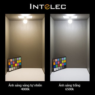 Bộ 3 bóng đèn Led Búp (Bulb) INTELEC 7W