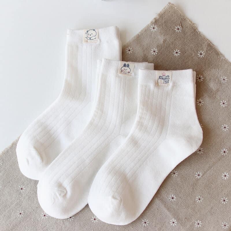 Vớ Tất Cổ Cao Tem Gấu Cotton Kháng Khuẩn Freesize Nam Nữ 35-42 MRSOCKS VC083
