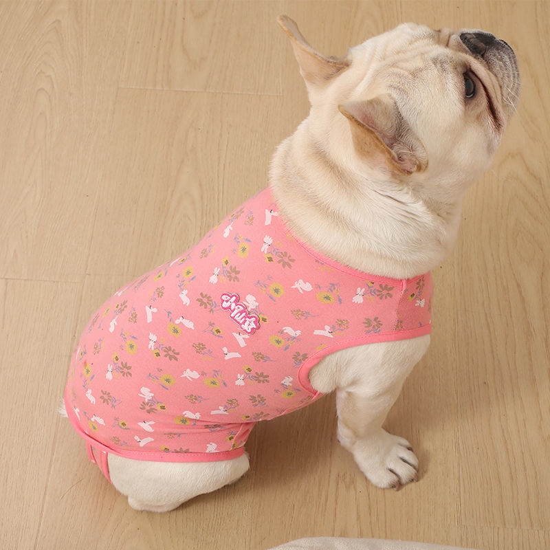 Bộ Áo Liền Quần Sinh Lý Bằng Cotton Nguyên Chất In Chữ Bichon Cho Cún Cưng | BigBuy360 - bigbuy360.vn