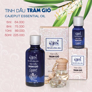 TINH DẦU TRÀM GIÓ YES! ( CAJEPUT ESSENTIAL OIL )