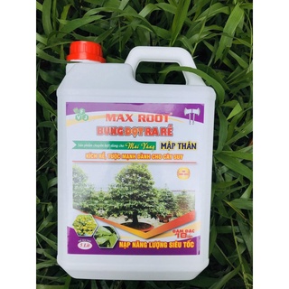 Phân bón max root can 5lít cho mai vàng bung đọt ra rễ chuyên mai vàng - bung tược đẻ nhánh nhanh, x