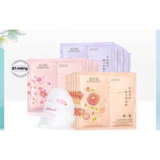 Set mặt nạ cao cấp Herborist có sẵn