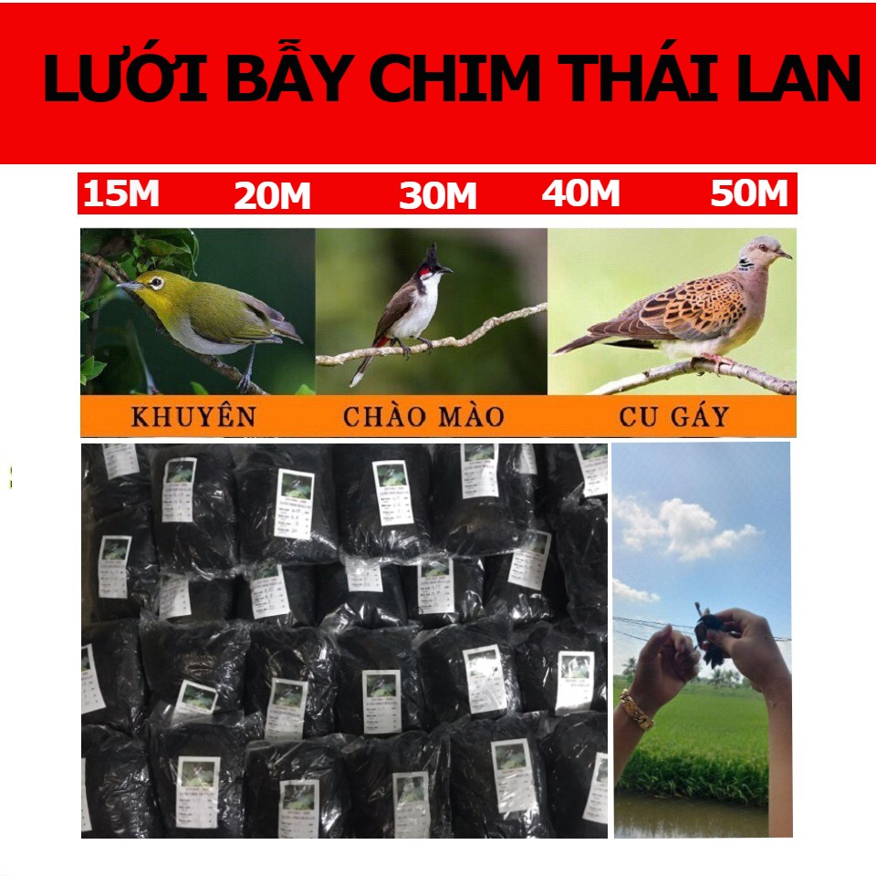 [CHẤT LƯỢNG] Lưới bẫy chim thái lan , lưới tàng hình bẫy chim khuyên sẻ gi cu gáy chào mào.Lưới bắt chim.Lưới chim | BigBuy360 - bigbuy360.vn