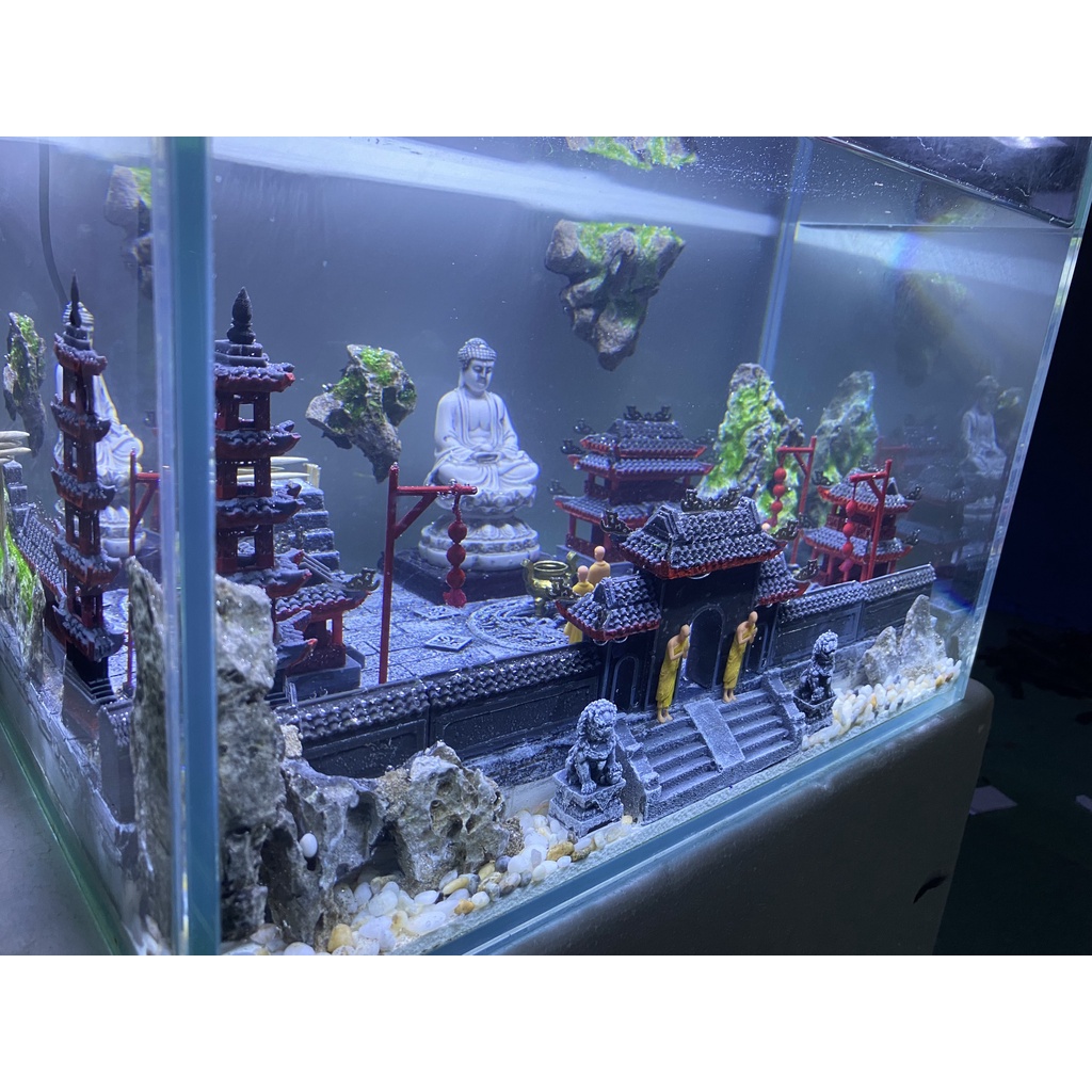 Bể cá mini để bàn, chậu nuôi cá trang trí bàn làm việc, bàn học, phòng khách