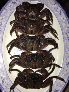 Mắm ba khía