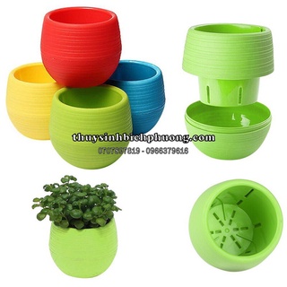CHẬU NHỰA TRỒNG CÂY BÁN CẠN MINI ĐA NĂNG - TRỒNG CÂY BÁN CẠN THUỶ SINH