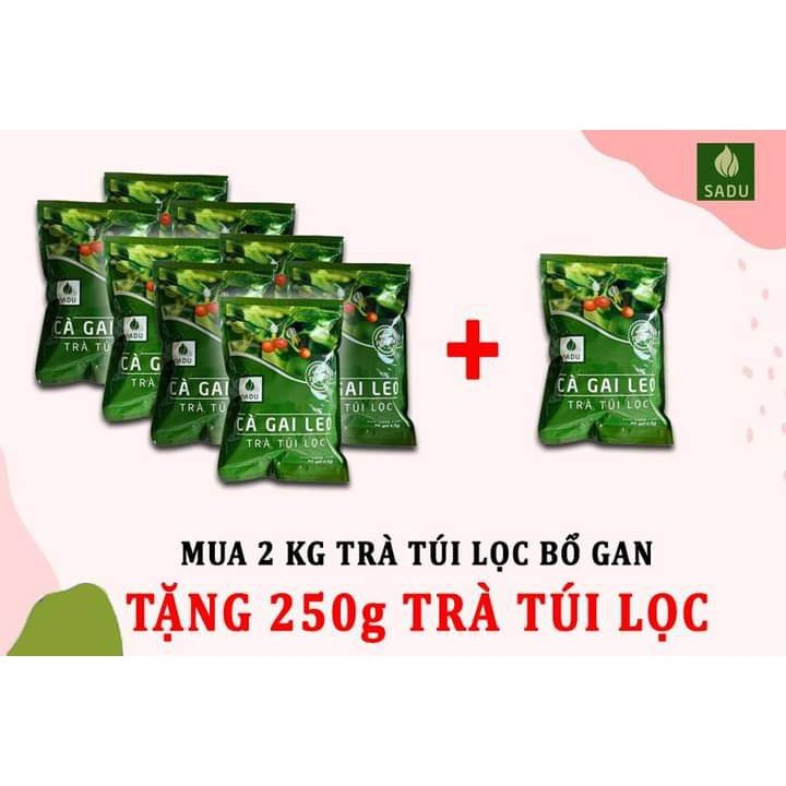 Combo 2kg (gồm 8 bịch 250g) trà túi lọc cà gai leo Sadu -tặng 1 bịch 250g