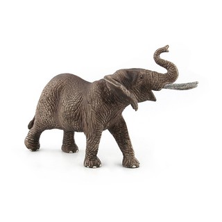 Mô hình Voi Châu Phi