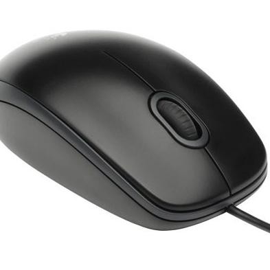 Chuột Quang Có Dây Logitech B100 Cdd2. | BigBuy360 - bigbuy360.vn