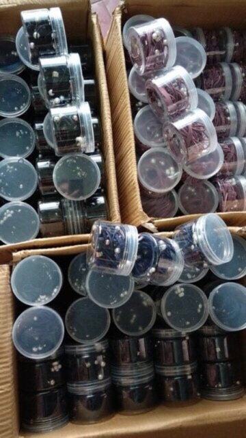 Hộp dây buộc tóc 12 chi tiết