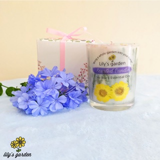 NẾN THƠM CAO CẤP ( DRIED FLOWER CANDLES )