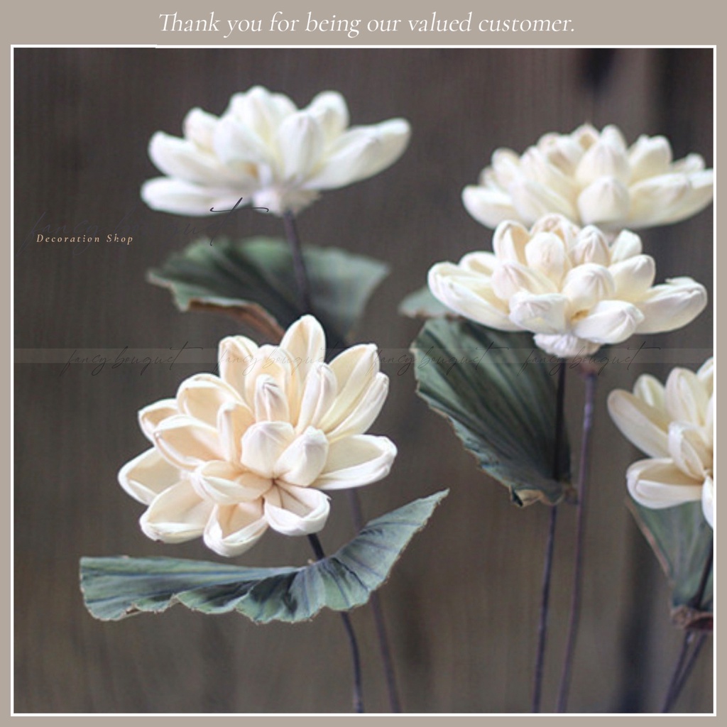 Hoa Sen Trắng Cổ Điển Vintage ❤️FREESHIP❤️ Sen lá Trắng Thanh lịch - sang trọng