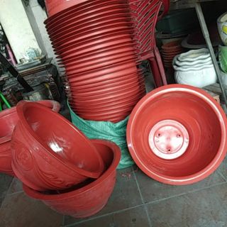 10 chiếc chậu t38 (đường kính miệng 36cm)