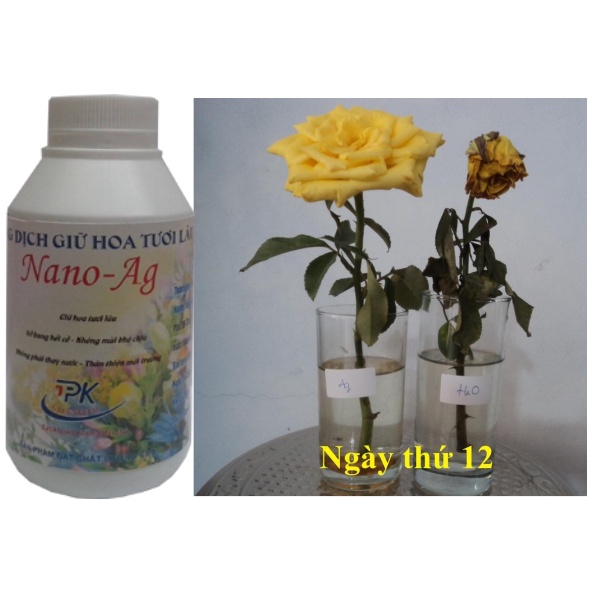 DUNG DỊCH NANO BẠC GIỮ HOA TƯƠI LÂU