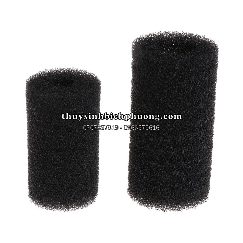 🍃BỊT TÉP MÚT - BỊT TÉP 🍃