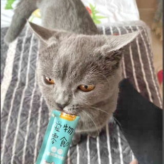 😺 SÚP THƯỞNG CHO MÈO - 15G