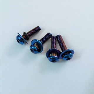 ốc gắn mão winner X ( 4 con )